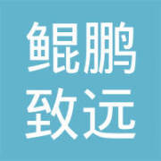 鯤鵬致遠(yuǎn)(北京)企業(yè)形象策劃 塑造卓越品牌，引領(lǐng)企業(yè)未來