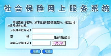 東莞社保個人賬戶查詢與社會經(jīng)濟(jì)咨詢服務(wù)指南